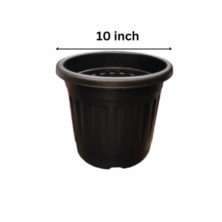10 inch Black Pot