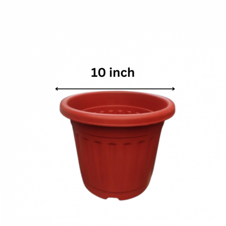10 inch Brown Pot