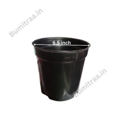 6.5 inch Black Pot